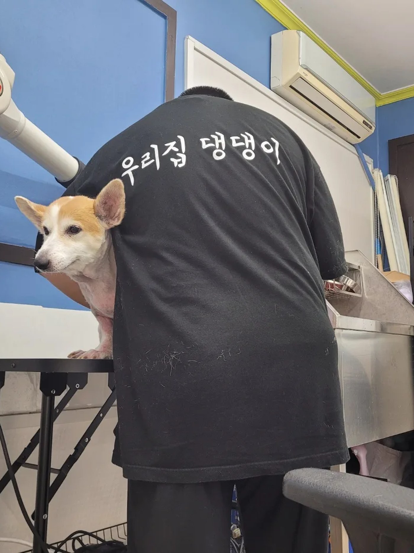 미용 작업 중인 대표